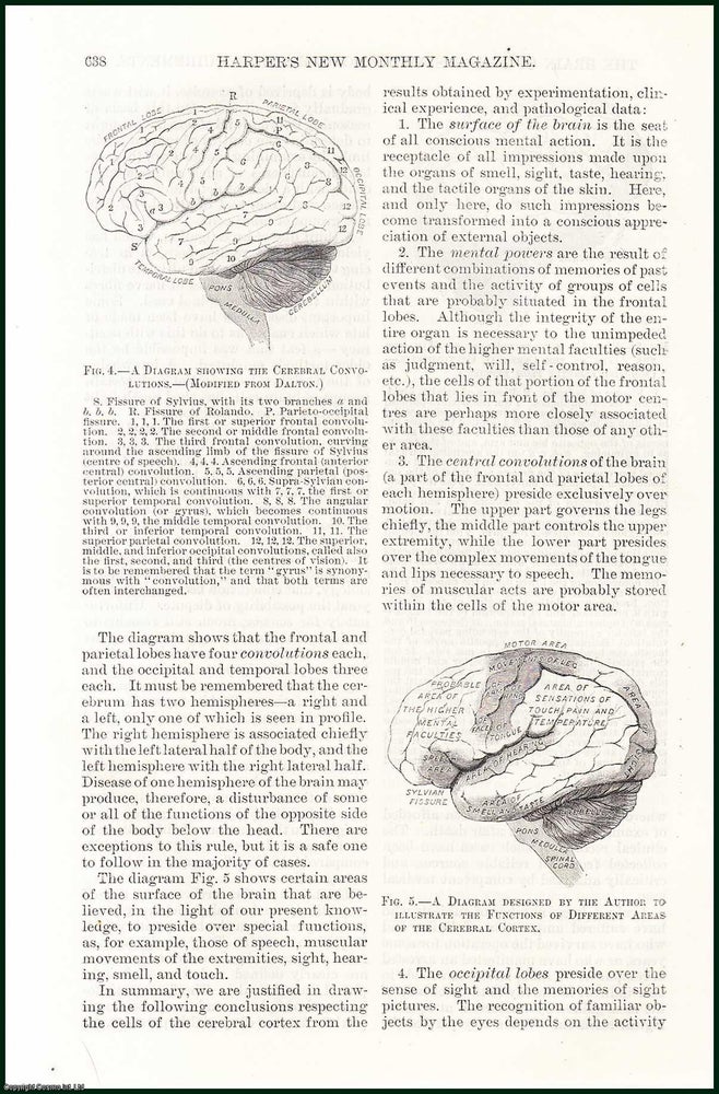 Item #505247 The Brain of Man, its Architecture & Requirements : some thirty-six years ago, by a premature explosion of gunpowder, an iron bar three & a half feet long, one & a quarter inches in diameter, & weighing thirteen & a quarter pounds, was shot completely through a man's head & perforted his brain. An uncommon original article from the Harper's Monthly Magazine, 1885. Ambrose L. Ranney.