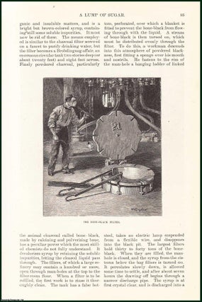A Lump of Sugar : The Worlds Production of Sugar. An uncommon original article from the Harper's Monthly Magazine, 1886.