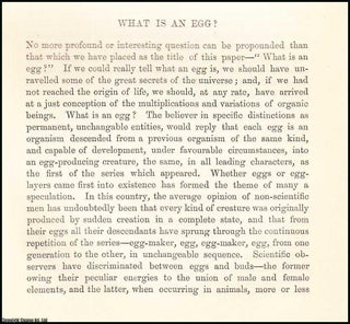 Item #505898 What is an Egg? An original uncommon article from the Intellectual Observer, 1869....