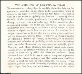 Item #506188 The Markings of the Podura Scale : object under examination. An original uncommon...