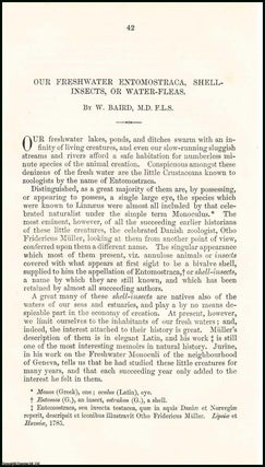 Our Freshwater Entomostraca, Shell-Insects, or Water-Fleas. 12 pages, 1 plate. An article printed in 1867, written by W. Baird, M.D., F.L.S.