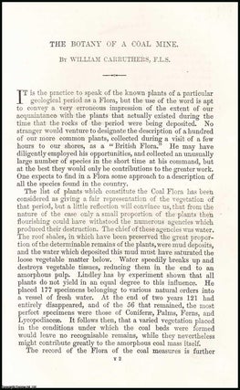 The Botany of a Coal Mine. An uncommon original article from the Popular Science Review 1867.