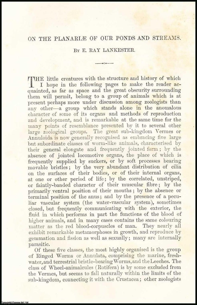 Item #506238 The Planariae of our Ponds & Streams. 13 pages, PLATE IS MISSING. An article...
