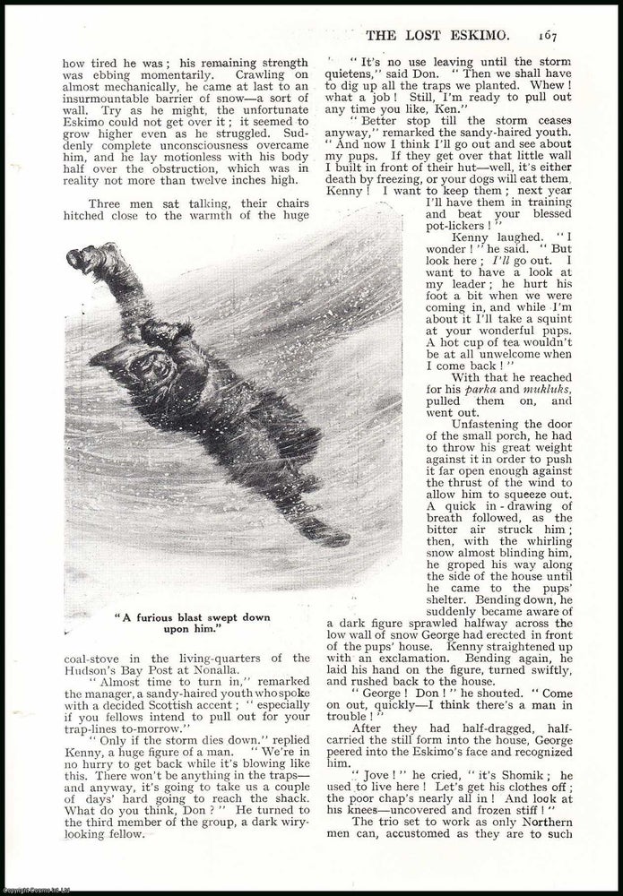 Item #507257 The Lost Eskimo : a story from Northern Canada. An uncommon original article from the Wide World Magazine, 1936. A F. Lorne., John De Walton.