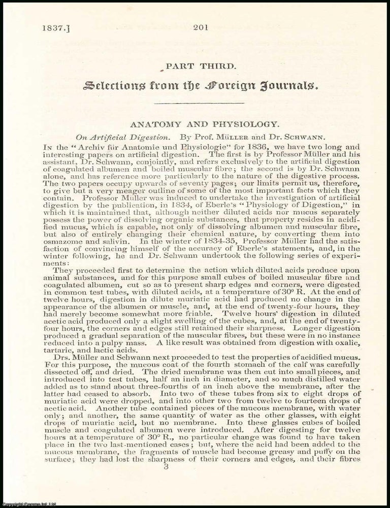 Item #508421 Artificial Digestion, by Prof. Muller & Dr. Schwann. An original essay from the...