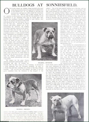 Item #509105 Bulldogs at Sonniesfield. Several pictures and accompanying text, removed from an...