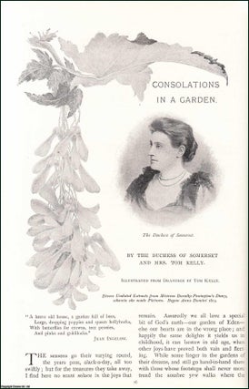 Item #509109 Consolations in a Garden. An original article from the Lady's Realm 1896. The...