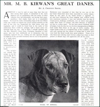 Item #509300 Mr. M.B. Kirwan's Great Danes. Several pictures and accompanying text, removed from...