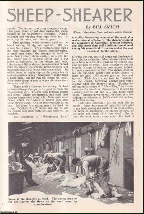 Item #510629 The Australian Sheep-Shearer. An uncommon original article from the Wide World...