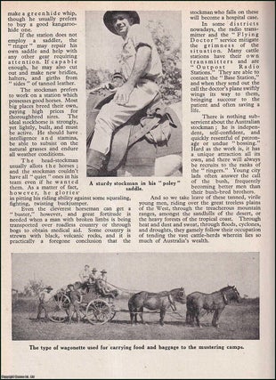 Item #510841 The Australian Stockman : the life & work of the Australian cowboy. An uncommon...