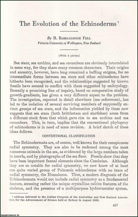 Item #510884 The Evolution of the Echinoderms. An uncommon original article from the Report of...