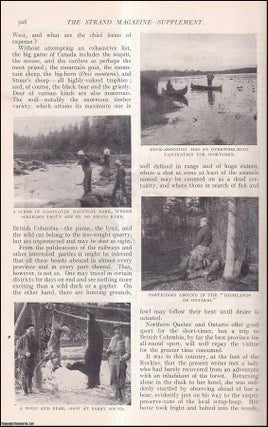 Item #511183 The Land of Nimrod : hunting big-game in Canada. An uncommon original article from...