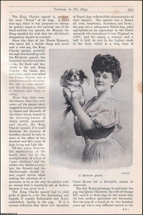 Item #511644 Fashions in Pet-Dogs. An uncommon original article from the Harmsworth London...