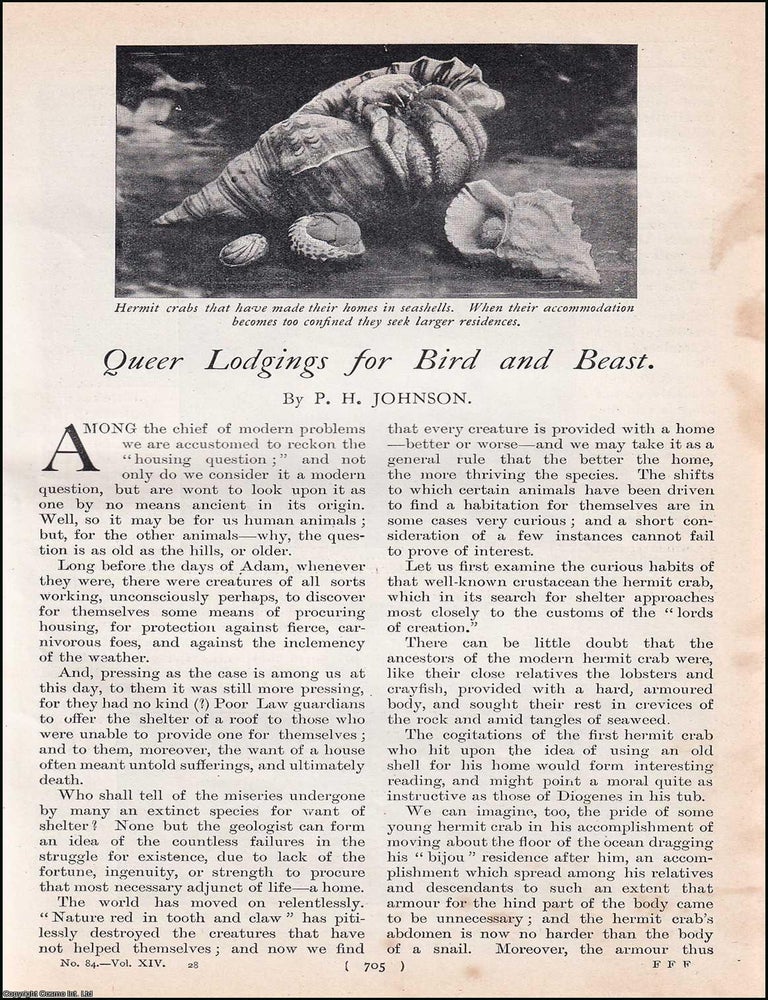 Item #511660 Queer Home Lodgings for Bird & Beast : the hermit crab in seashells ; the ship-worm...