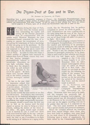 Item #511718 The Pigeon-Post at Sea and in War. An account of the pigeon-post operated by the...