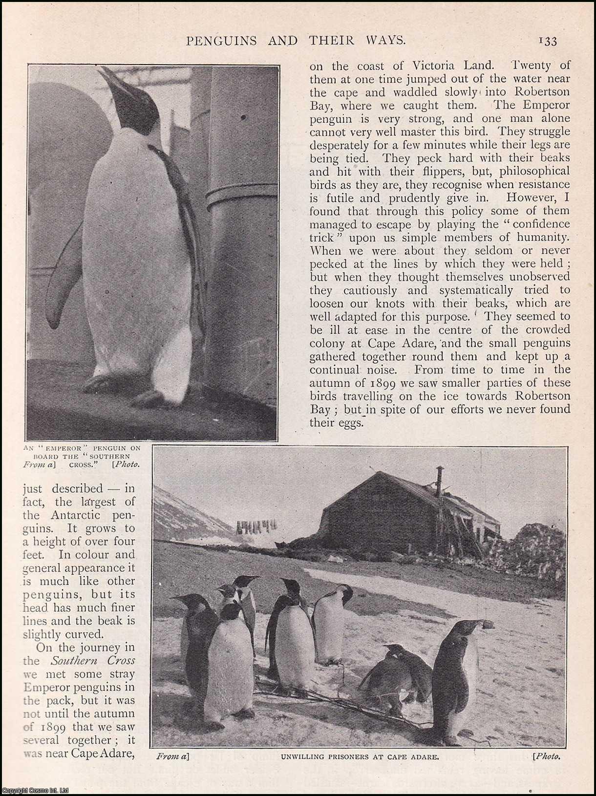 Penguin and their Ways in the South Polar Region. An uncommon original ...