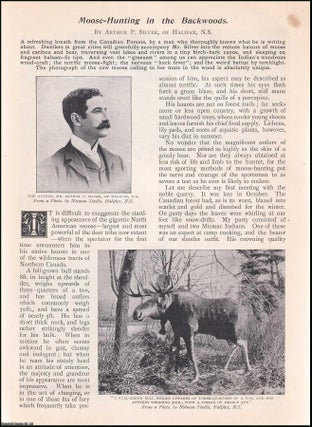 Item #511798 Moose Hunting in the Backwoods, Canadian Forests. An uncommon original article from...
