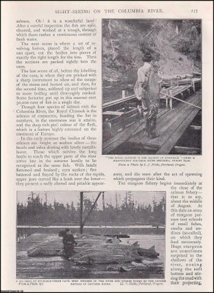Item #511809 Sight Seeing on the Columbia River. An uncommon original article from the Wide World...