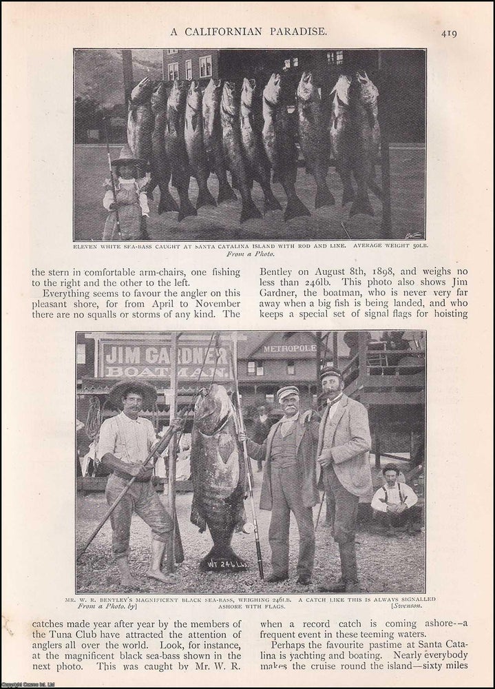 Item #511821 A Californian Paradise : the island of Santa Catalina. 8 pages, illustrated. An...