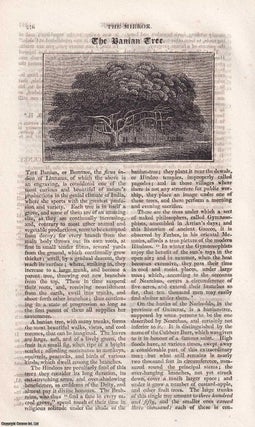 City of Leyden & the Banian, or Burr Tree. A complete rare weekly issue of the Mirror of Literature, Amusement, and Instruction, 1824.