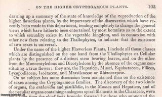 Item #512509 The Reproduction & supposed Existence of Sexual Organs in the Higher Cryptogamous...
