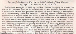 Item #512544 Survey of the Southern Part of the Middle Island of New Zealand. An uncommon...