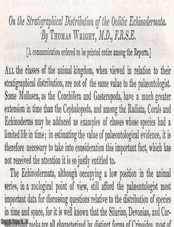 Item #512654 The Stratigraphical Distribution of the Oolitic Echinodermata. An uncommon original...