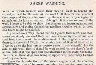 Item #512737 Sheep Washing. An original article from the Journal of the Royal Agricultural...
