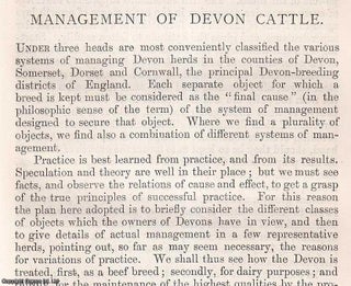 Item #512749 Management of Devon Cattle. An original article from the Journal of the Royal...