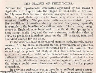 Item #512756 The Plague of Field-Voles in Scotland. An original article from the Journal of the...