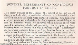 Item #512758 Experiments on Contagious Foot-Rot in Sheep. An original article from the Journal of...
