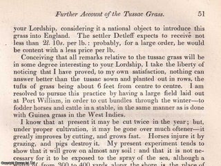 Item #512781 The Tussac Grass. An original article from the Journal of the Royal Agricultural...