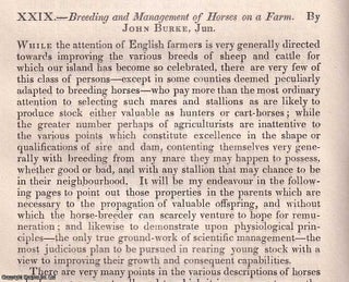 Item #512802 Breeding & Management of Horses on a Farm. An original article from the Journal of...