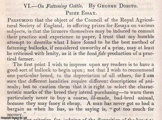 Item #512814 Fattening Cattle. An original article from the Journal of the Royal Agricultural...