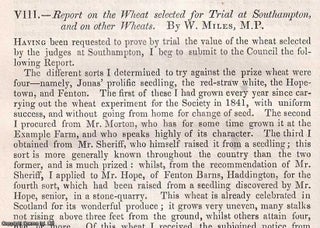 Item #512841 The Wheat selected for Trial at Southampton, & on other Wheats. An original article...