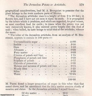 Item #512842 The Jerusalem Potato or Artichoke (Helianthus tuberosis). An original article from...