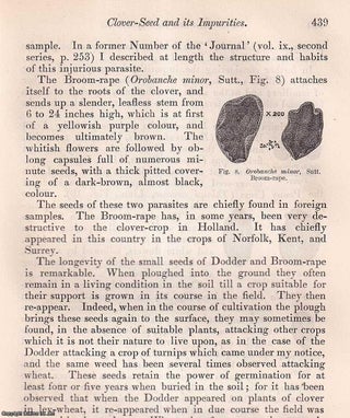 Item #512900 Clover Seed & its Impurities. An original article from the Journal of the Royal...