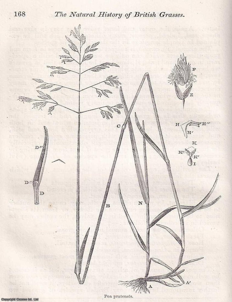 Item #512907 The Natural History of British Meadow & Pasture Grasses. An original article from...