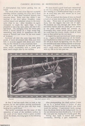 Item #513007 Caribou-Hunting in Newfoundland. By C.V.A. Peel. An uncommon original article from...