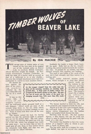 Item #513210 Timber Wolves of Beaver Lake in Northern British Columbia. By Ida Mackie. An...