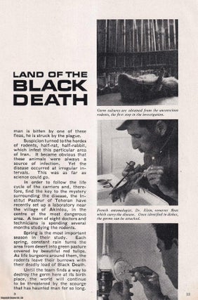 Item #513846 Land of the Black Death. An uncommon original article from the Wide World Magazine,...