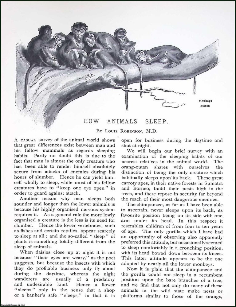 Item #516086 How Animals Sleep. By Louis Robinson, M.D. An original article from Pearsons...