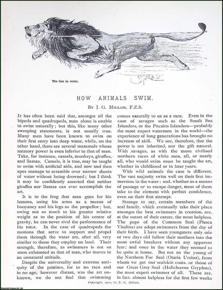 Item #516098 How Animals Swim. By J.G. Millais, F.Z.S. An original article from Pearsons...