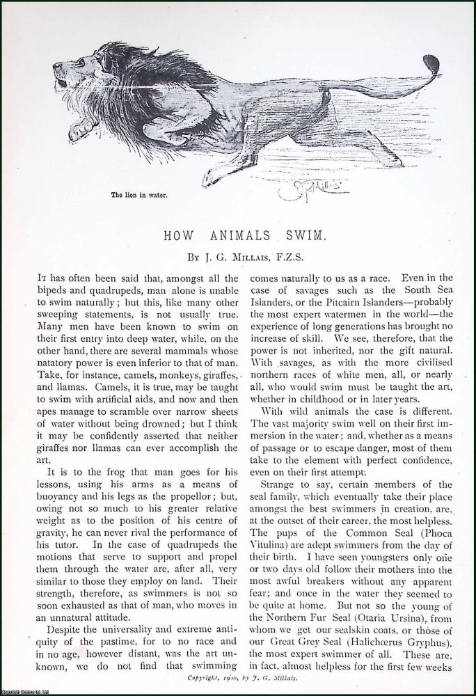 Item #516098 How Animals Swim. By J.G. Millais, F.Z.S. An original article from Pearsons...