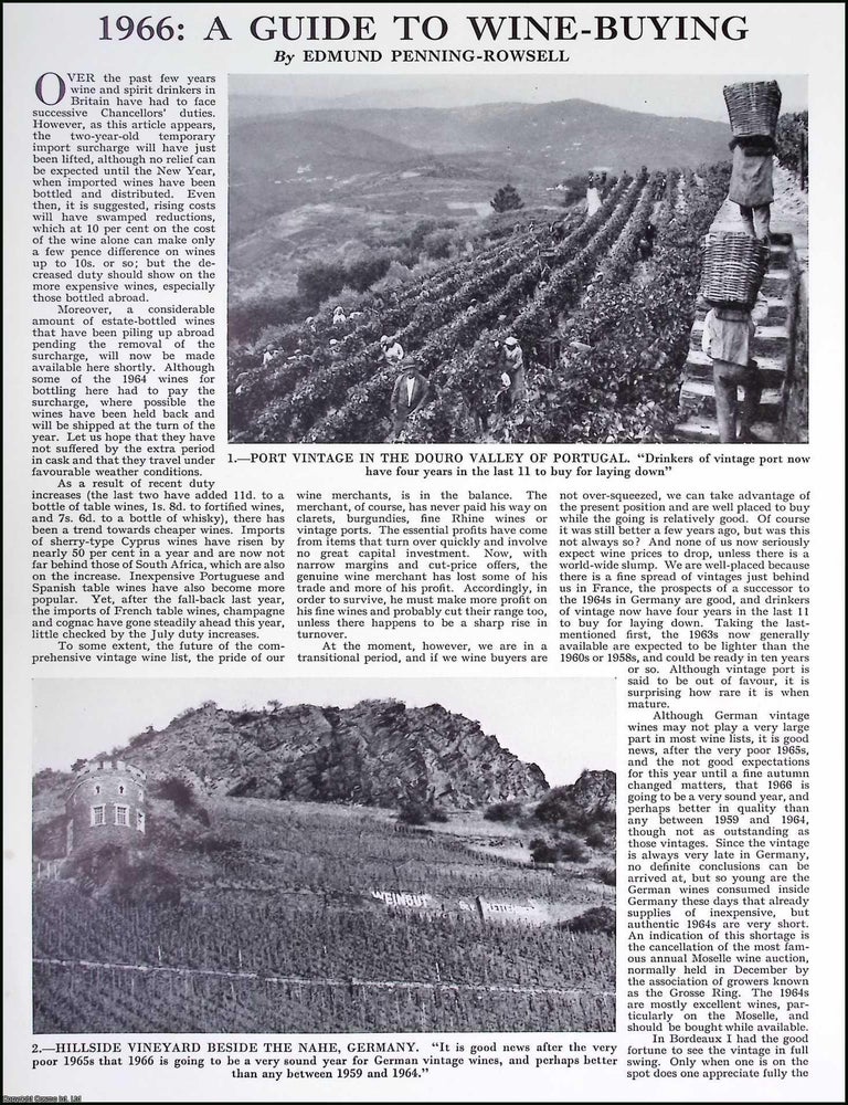 Item #516231 A Guide to Wine-Buying. By Edmund Penning-Rowsell. Several pictures and accompanying text, removed from an original issue of Country Life Magazine, 1966. OENOPHILES.