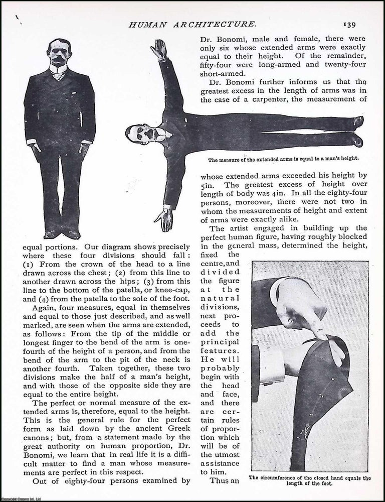 Item #516472 Human Architecture : Drawing a Human Figure. By Turner Morton. An original article...