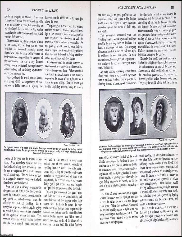 Our Descent from Monkeys : Interesting Habits, Traits ...
