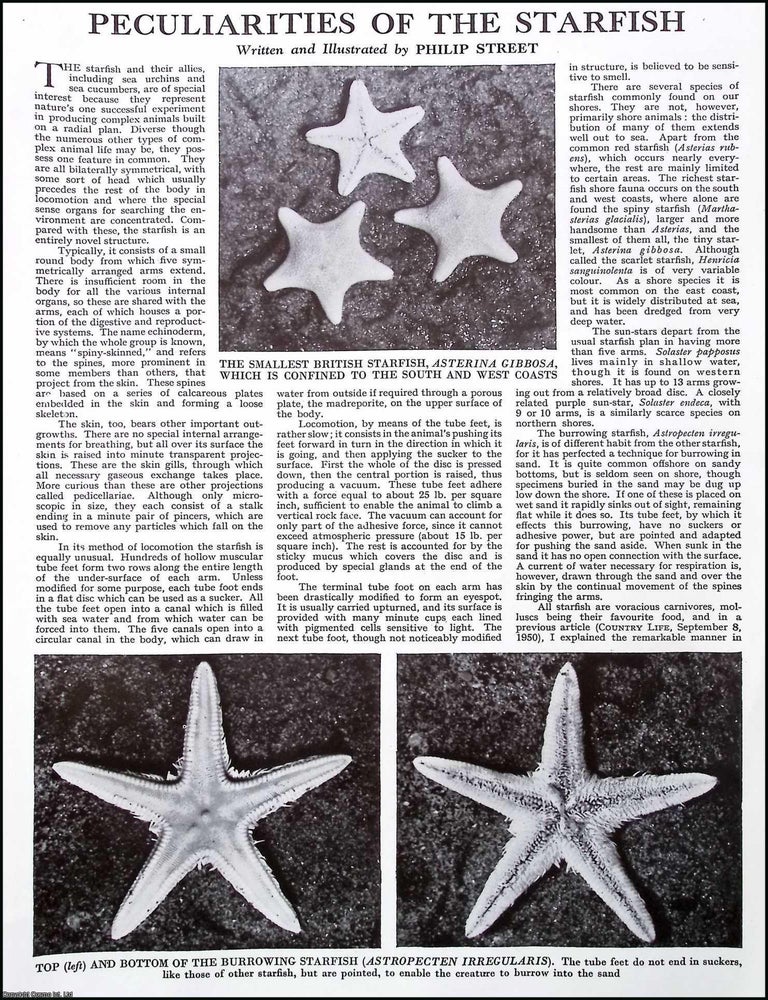 Peculiarities of the Starfish. By Philip Street. Several pictures and ...