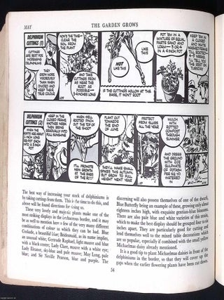 Grow Flowers. The Daily Mirror's Famous Comic Strip Guide. Illustrated by John Dunkley.