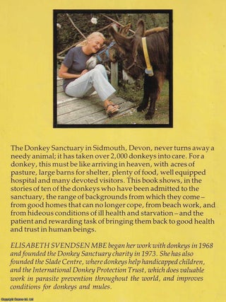 In Defence of Donkeys.